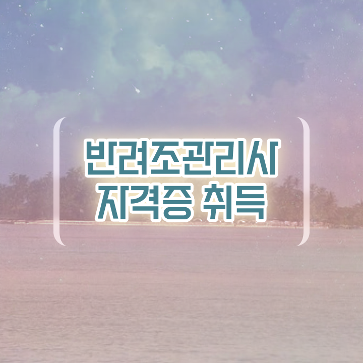  왕관앵무새 수명 , 반려조관리사 자격증 1급,2급 동시에 취득한 방법 요점정리