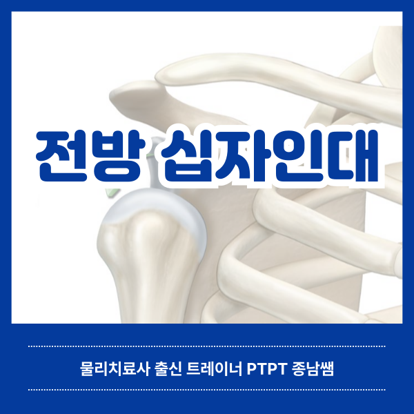  전방십자인대 손상과 치료 [녹양동 헬스매니아]