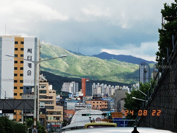  24년 8월 18일 ~ 9월 7일 폰사진털이