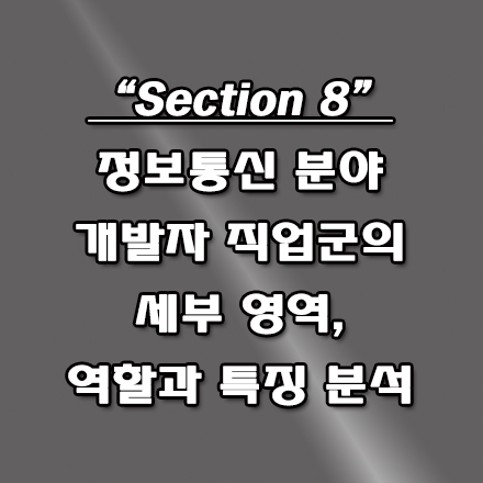  IT 분야 개발자 직업군의 세부 직문군