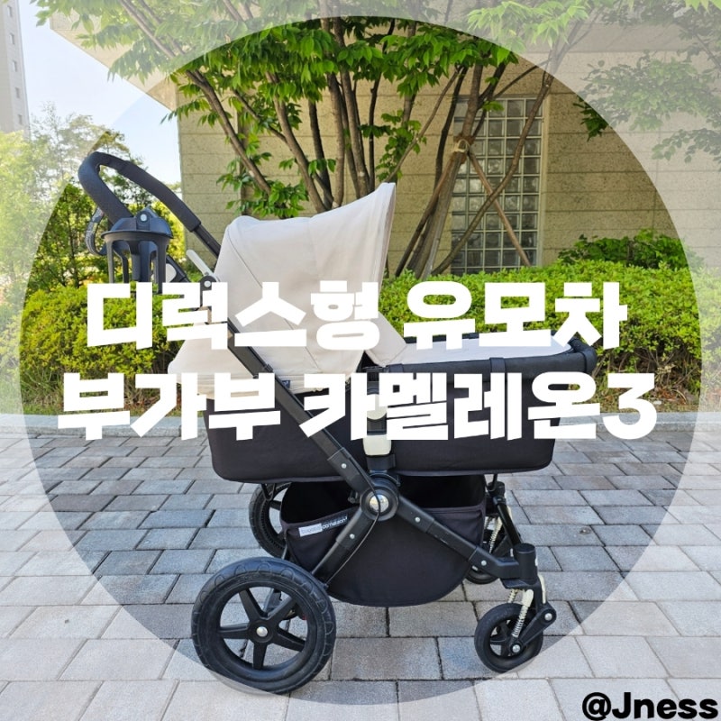 디럭스 유모차, 아기 첫 유모차 가성비 좋은 부가부 카멜레온3 추천(베시넷 꼭 필요한가?)