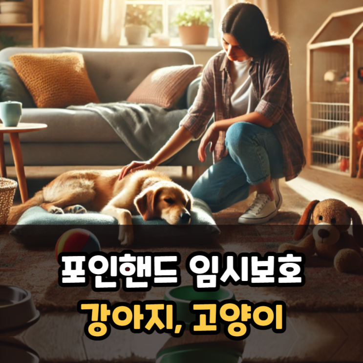  포인핸드 임시보호(강아지, 고양이)