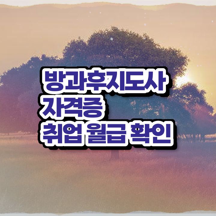  기술 자격증 추천 , 방과후지도사 고졸자도 쉽고 빠르게 준비한 후기