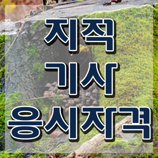  지적기사 필기 지적기사 시험응시조건 온라인 수업으로 쉽고 빠르게 완료한 전략
