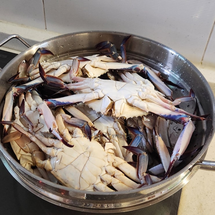  마포농수산물시장 꽃게 대하 사다가 가을 제철 해산물 한상 차리기