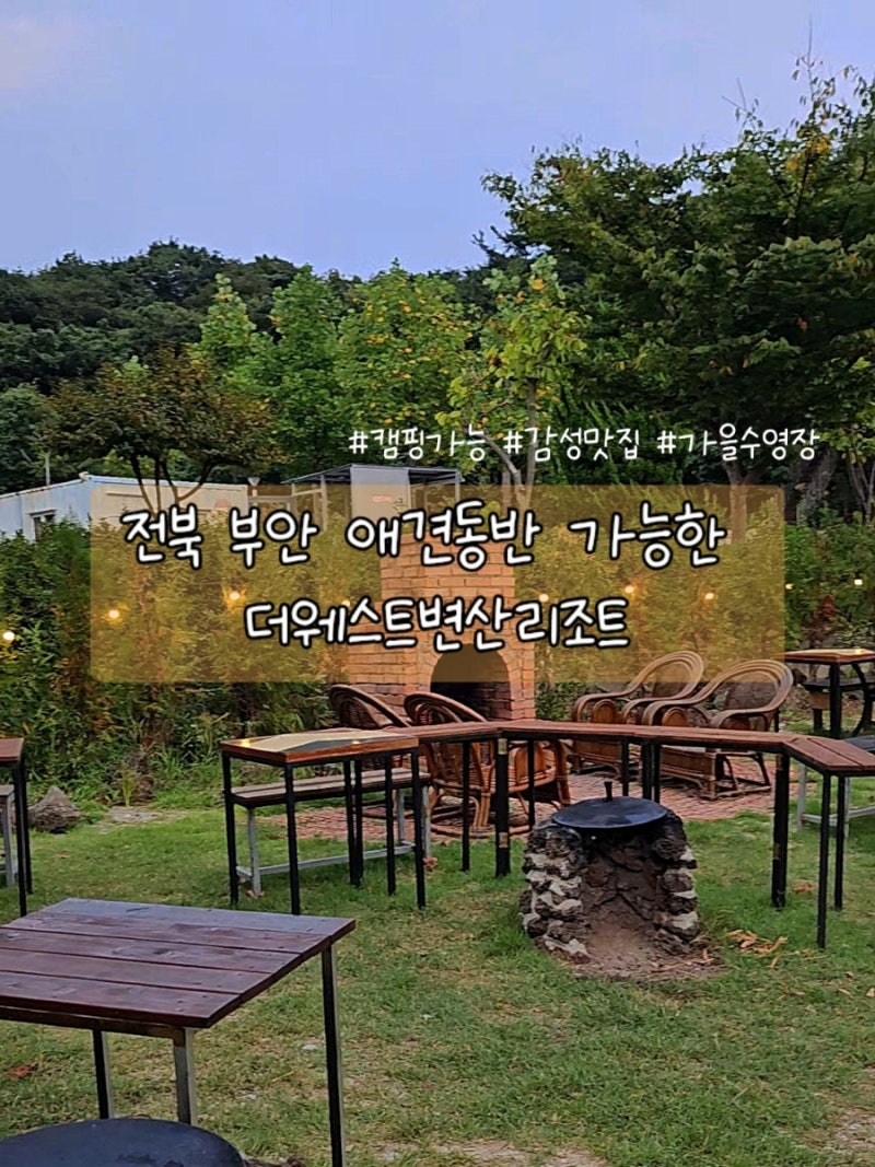 사진 5