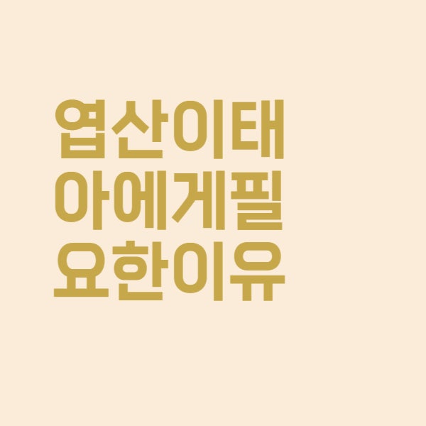  엽산 비타민 영양제가 임신 중 태아에게 꼭 필요한 이유