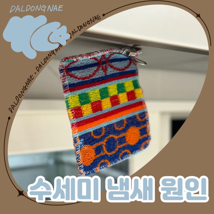  수세미 냄새 원인과 소독하는 법