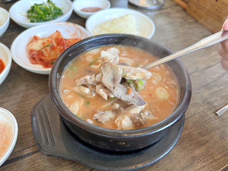  화정역 순대국 맛집 별난사골순대국 구수하고 건더기가 가득한 국밥추천