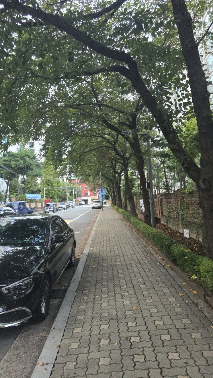  0908 주말 아침 일상 한강공원산책