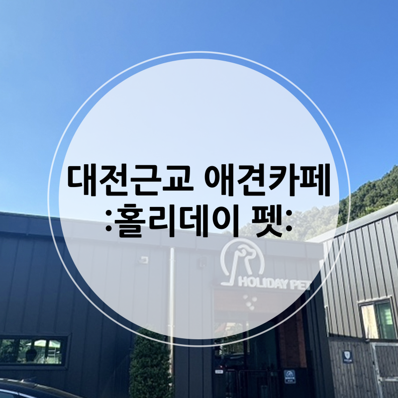 사진 2