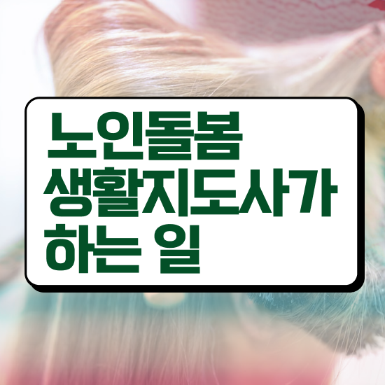  독거노인관리사 , 1급,2급 동시에 노인돌봄생활지원사자격증 취득 정보