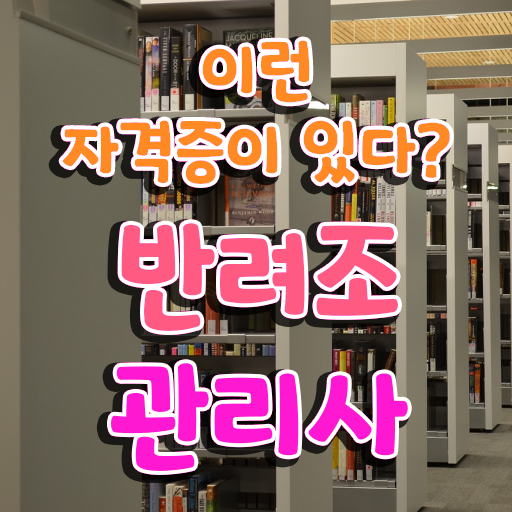  부산 앵무새 분양 , 반려조관리사 자격증 1급,2급 동시에 합격한 전략 , 온라인 무료강의