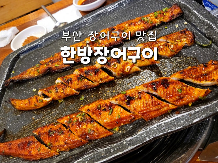  부산 장어구이 맛집 사직동맛집 거제동맛집 한방장어구이