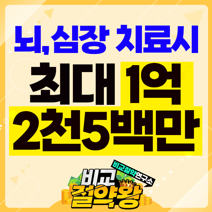  메리츠 특정순환계질환급여치료비로 뇌 심장질환 보험 점검했어요