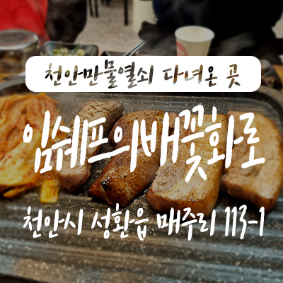  천안 맛집ㅣ성환 초벌 삼겹살 고깃집 추천! 임쉐프의배꽃화로 회식 모임 하기 좋은 곳