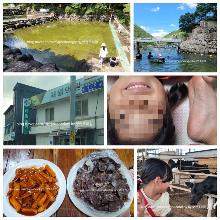 동탄 일상8_성주봉자연휴양림 산림문화휴양관 문경쌍용계곡 당진 합덕 제일의원 여름방학 끝 동탄 일상8_성주봉자연휴양림 산림문화휴양관 문경쌍용계곡 당진 합덕 제일의원 여름방학 끝