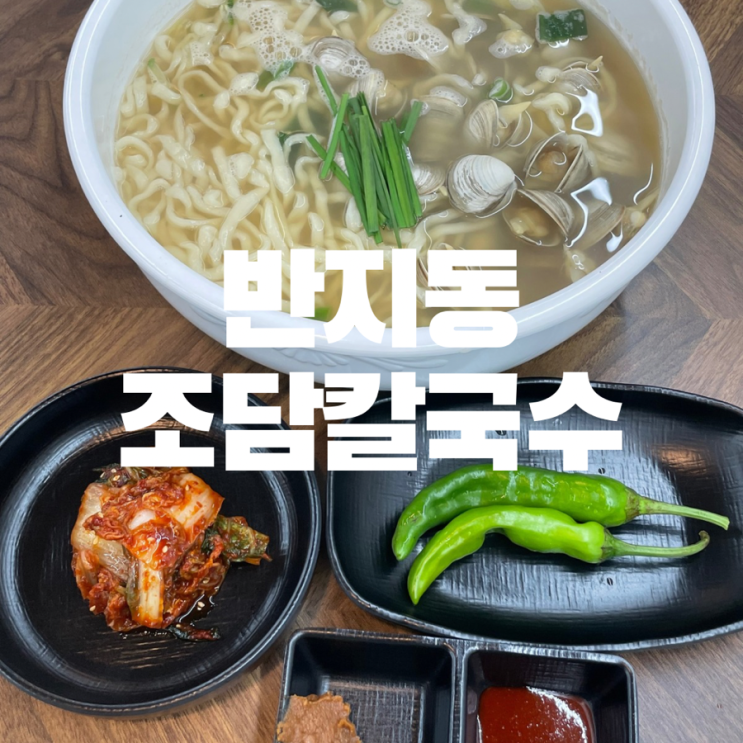  창원 반지동 맛집 조개 듬뿍 동죽칼국수 만두 맛집 조담칼국수