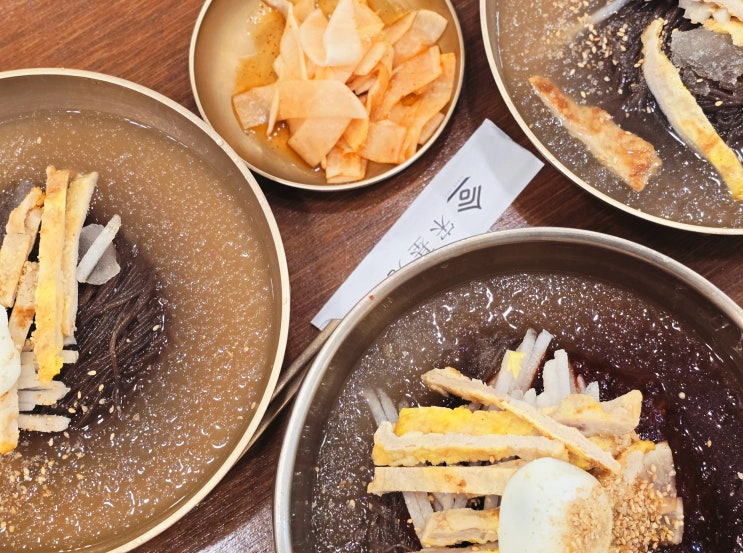  진주 육전냉면 맛집 송기원 진주 냉면