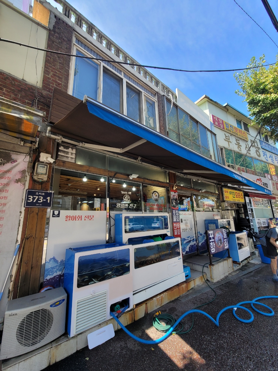 영일만친구 사진 2