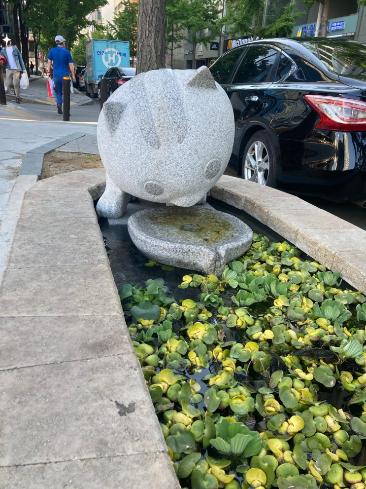  고양이 옹달샘