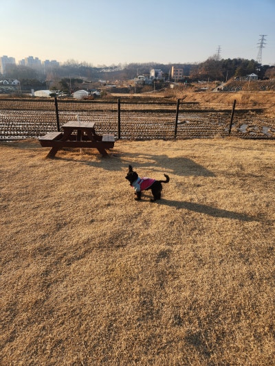 사진 4