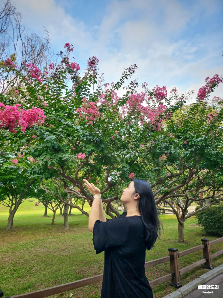  아직 진행 중인 경주 여행 맛보기 와르르
