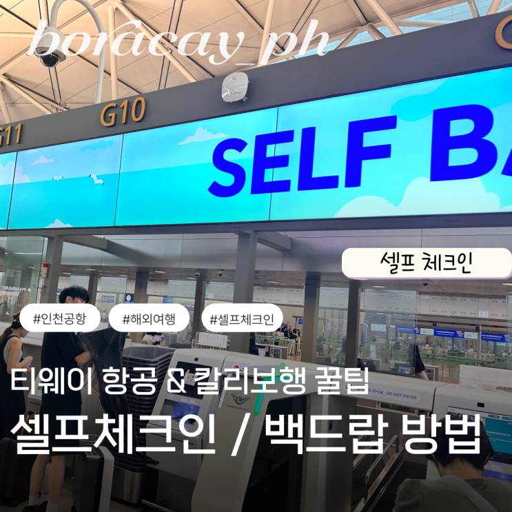  인천공항 칼리보 티웨이 셀프 체크인 백드랍 하는 방법 좌석 꿀팁