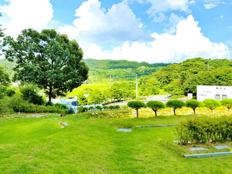  용인수목장 비용 특성과 고려할 점