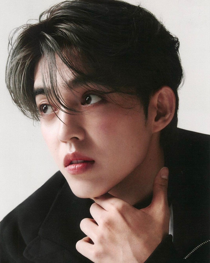 SEVENTEEN Fanfiction: The Villainess Becomes the Heroine