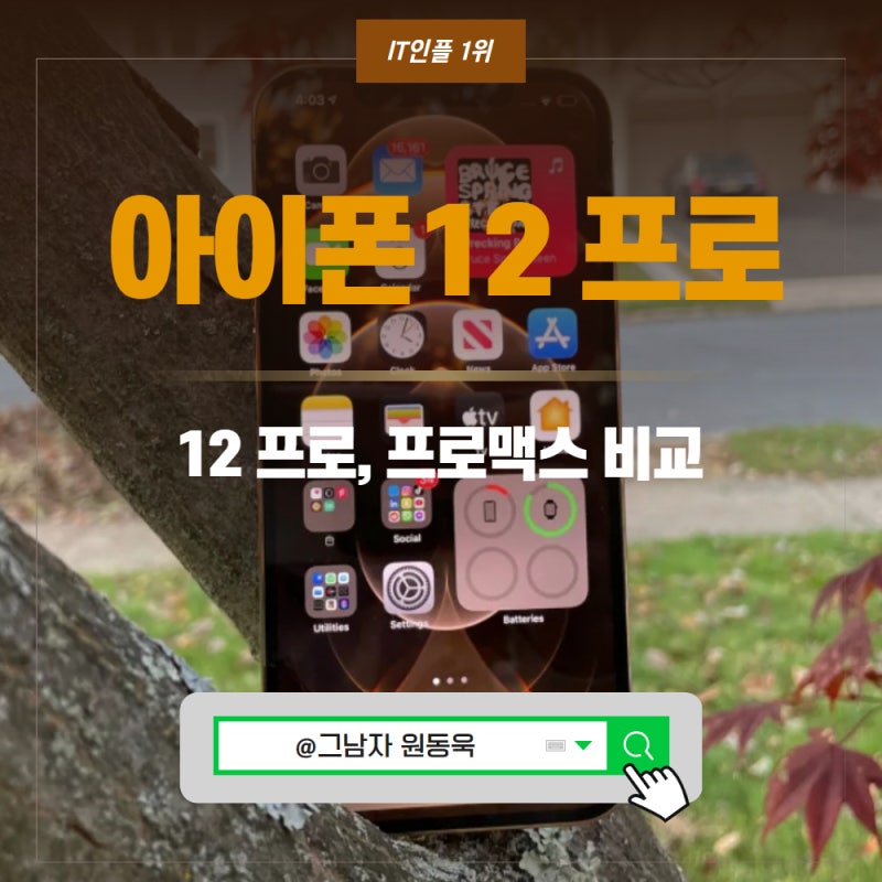 아이폰12 PRO 색상, 아이폰12 프로 맥스 promax 카메라 비교.