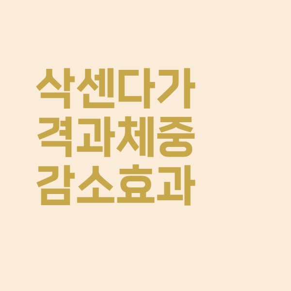  삭센다 약국 판매 가격과 체중 감소 효과