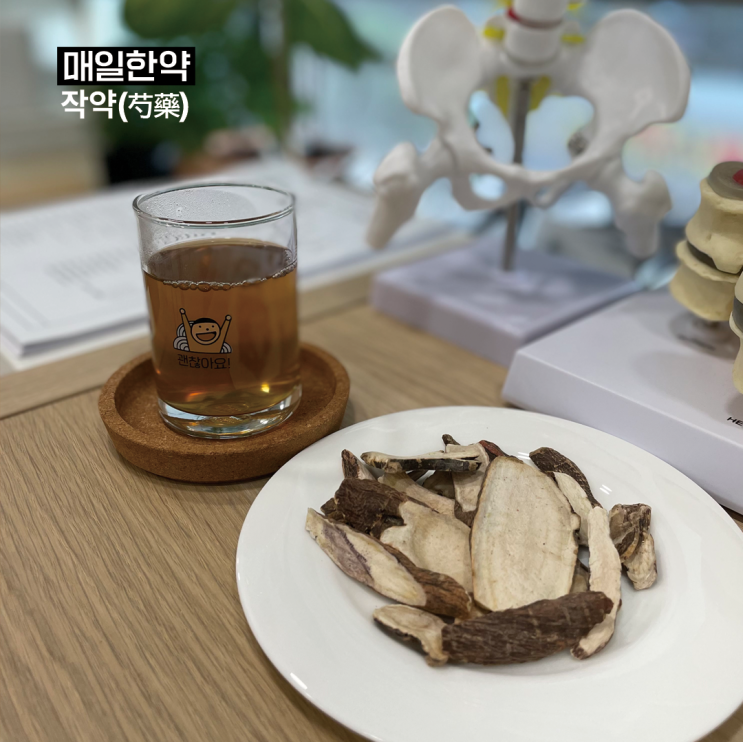 매일한약 : 작약(芍藥) 한방진통제 통증 완화 기전 매일한약 : 작약(芍藥) 한방진통제 통증 완화 기전