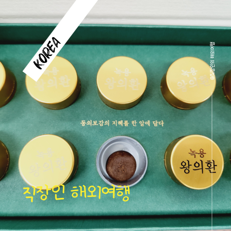  직장인 해외여행 기력 회복 면역력 강화 러시아녹용 어의보감 공진단 후기