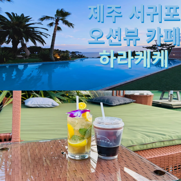  오션뷰 볼 수 있는 제주도 카페 하라케케 서귀포 여행 포토존