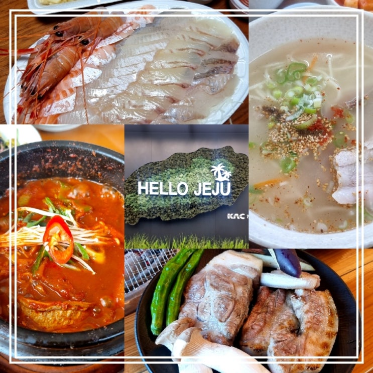 7월의 제주도 여행 || 날씨 맑음 2박 3일 여행 코스_일상 포토 덤프 7월의 제주도 여행 || 날씨 맑음 2박 3일 여행 코스_일상 포토 덤프