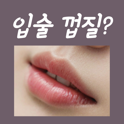  입술껍질 관리법? 딱 '이것'만 기억하셔도 무방합니다