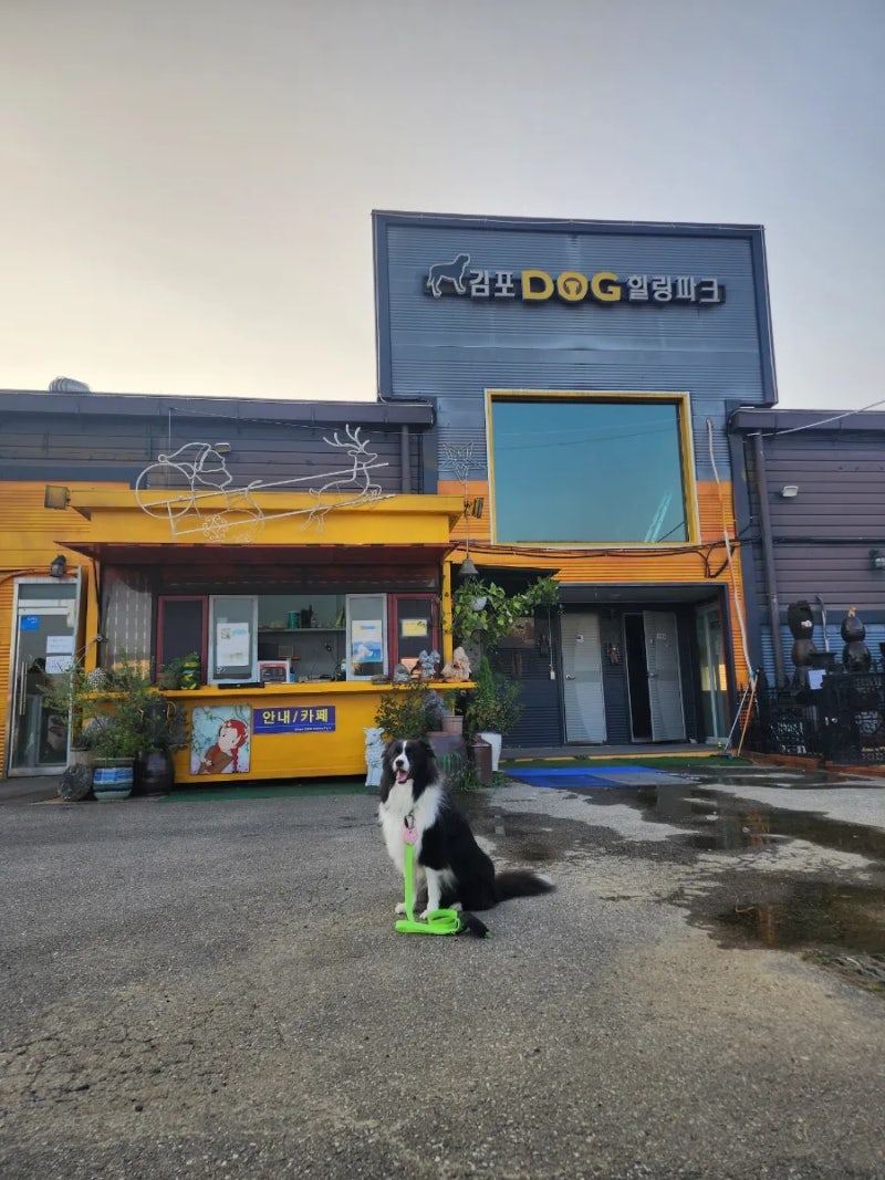 김포DOG힐링파크