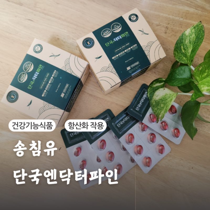 면역력 높이는 영양제 송침유로 관리하는 단국엔닥터파인