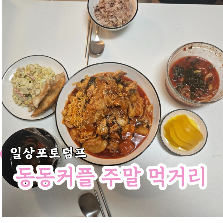  일상 포토덤프 동동이네 주말 뭐 먹지 소개코너 feat.후식 요아정