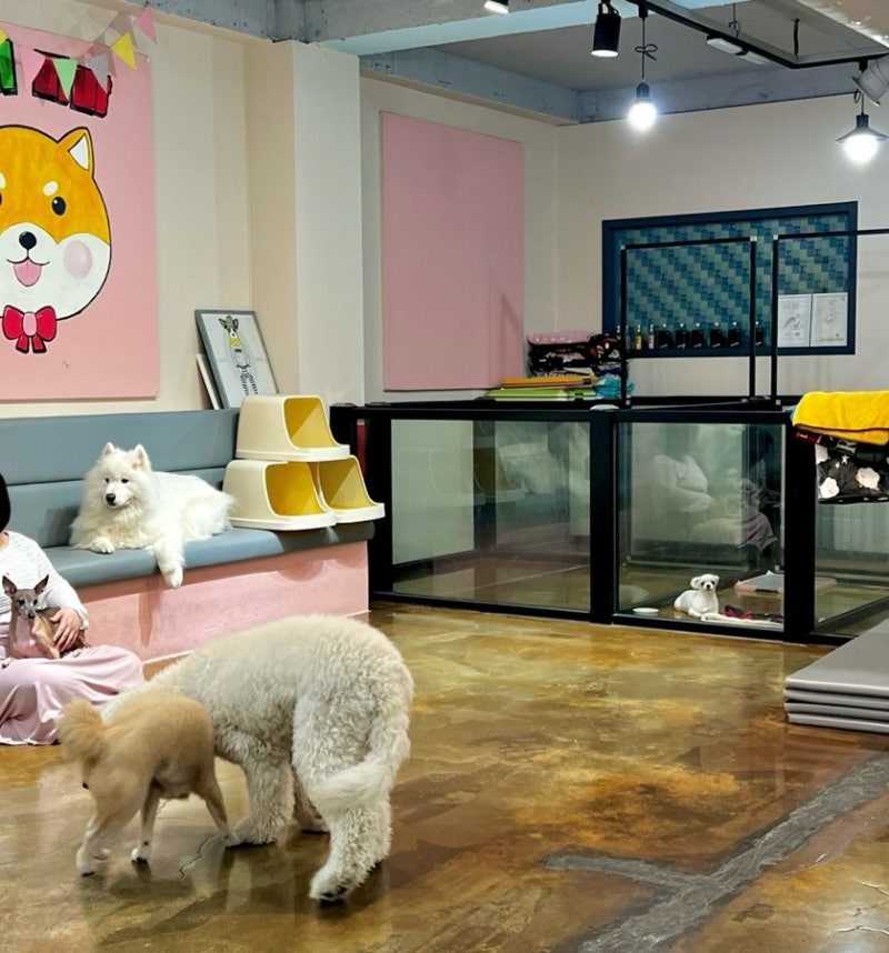 사진 5