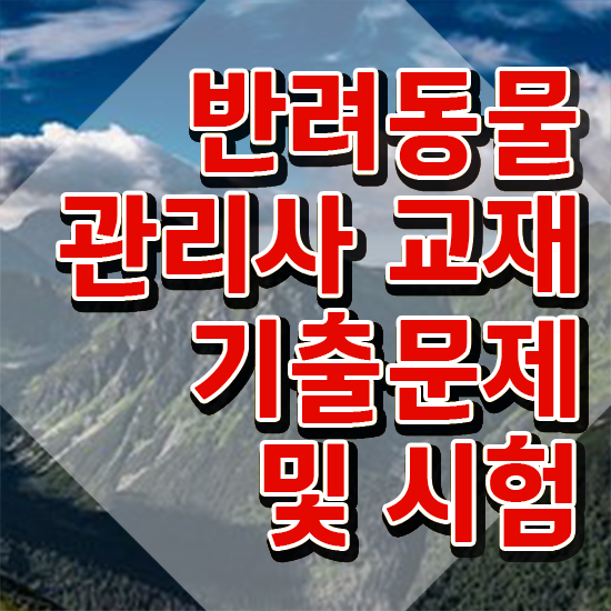  반려동물행동지도사 자격증 , 반려동물관리사 자격증 취득한 방법 전격분석