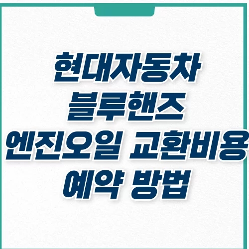  현대자동차 블루핸즈 예약, 서비스센터, 가격