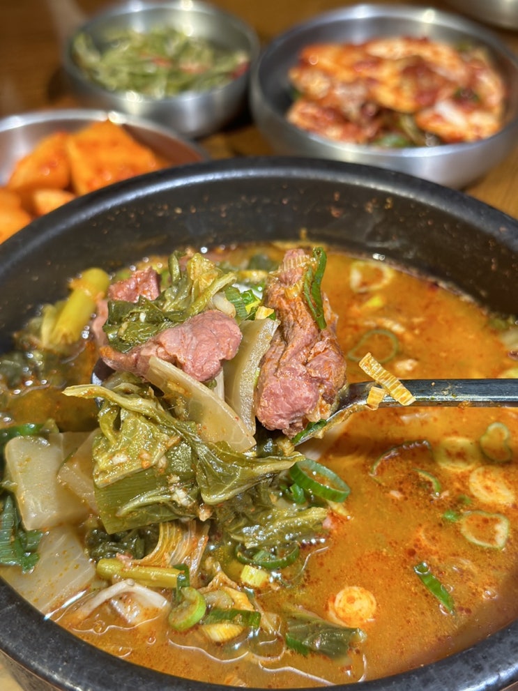 신논현역 점심 맛집 - 모범갈빗살 강남역에서 7년이면 노포 맞지(feat.명인등심)