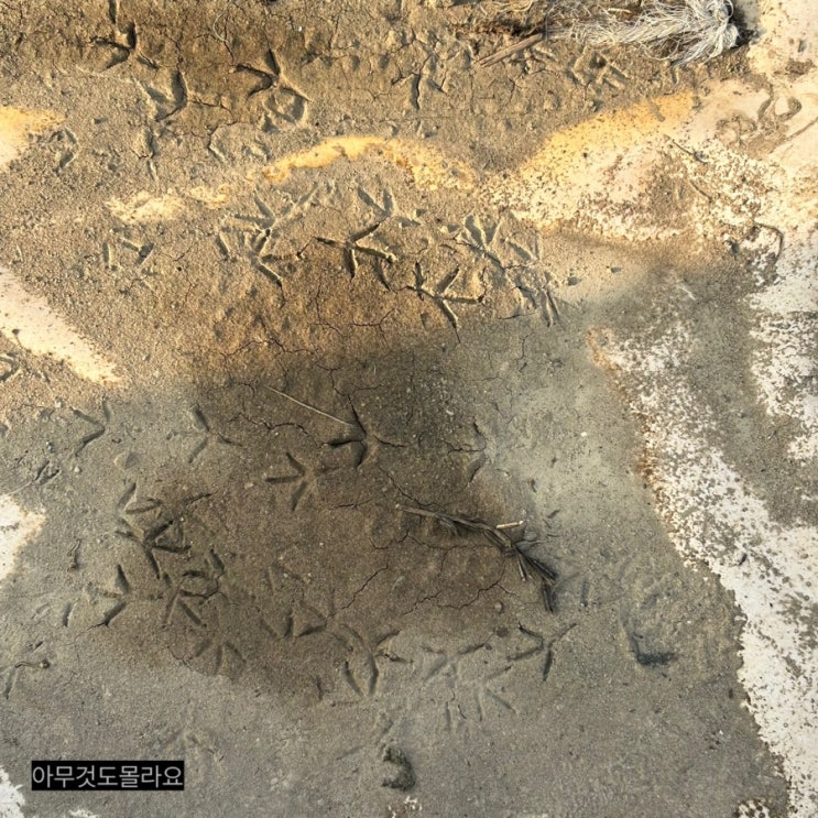  24년 9월 포토덤프 2