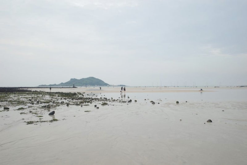 사진 10