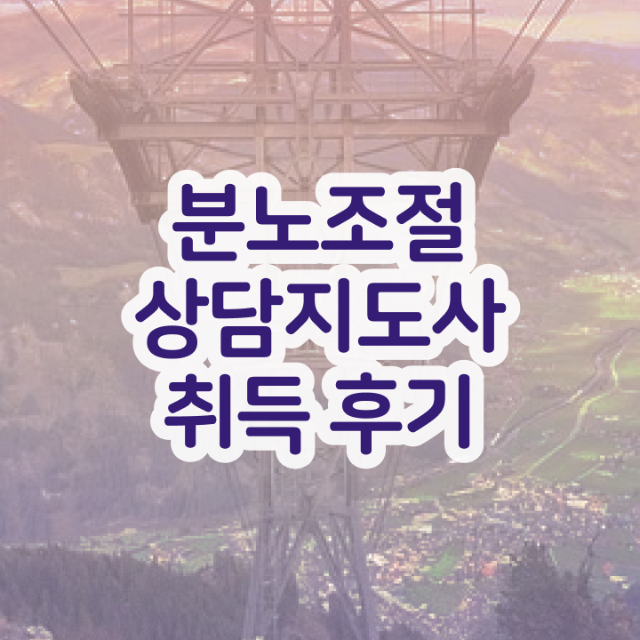  기술 자격증 추천 , 분노조절상담지도사 직장과 병행하며 경력없는 사람도 최단기간 끝냈던 방법