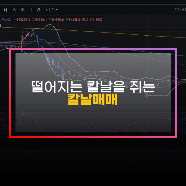  [100일 선물매매일지 D+68~73] 떨어지는 칼날잡는 칼날매매법