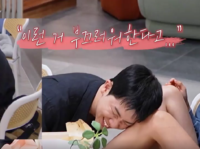  돌싱글즈6 첫방송 방영일 방송시간 ott 정보