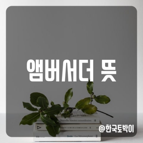  앰버서더 뜻 (명품 엠버서더)